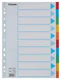 Esselte Register für A4, Deckblatt und 10 Trennblätter mit Taben, Blau/Mehrfarbig, Recyclingkarton, 100193