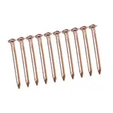 Sharplace Kupfernägel, 10er-Pack, Hardware, stabil, einfach zu installieren, Schieferspikes, Dachdecker-Finish für Bäume, Stümpfe, Heimwerkerbedarf, DIY-Hobbys, 38mm