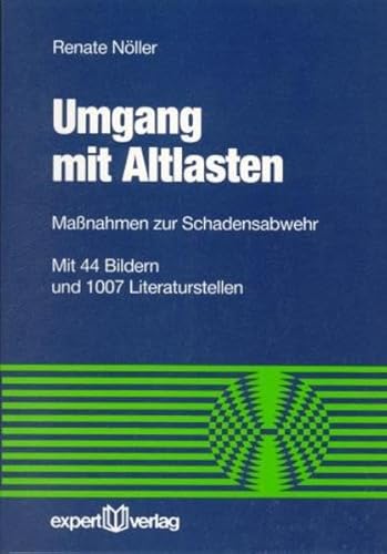 Umgang mit Altlasten: Maßnahmen zur Schadensabwehr (Reihe Technik)