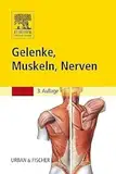 Gelenke, Muskeln, Nerven
