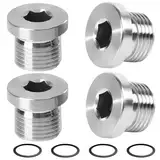 4 Stück Blindstopfen 1/4 Zoll,Wasserleitung Verschlussstopfen,Edelstahl Blindstopfen,Verschlusskappe mit 4 Dichtung,Selbstdichtend Gewindestopfen Stopfen für Rohrleitungsabdichtung(Silber) (1/4 Zoll)