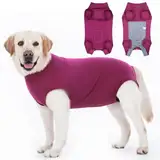 Axcimond Hundebody Nach Op Leckschutz Op Body Hund Kastration Hündin Rüde Medical Pet Shirt Hund Einteiler Wundschutzanzüge für Hunde Mit Klettverschluss Alternativen zu Kegel und Halskrause Hunde