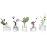 Kotkiddy Kleine Glas Blütenkelche, Mini Klare Vazen für Zentrumstücke, Niedliches Blumen-Vasen-Set von 5, Mini Vazen für Blumen, Dekorative Zentrumstücke Vazen