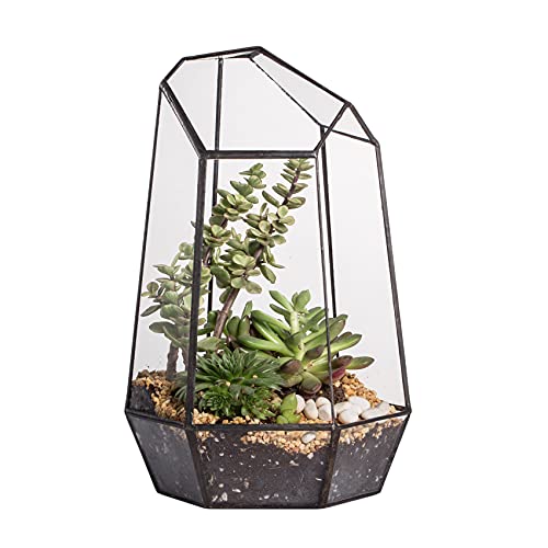 NCYP 16,5x16,5x25cm Glas Geometrisches Terrarium, unregelmäßiges Prisma,25 cm hoch Blumentopf für Sukkulenten, Farn (Ohne Pflanzen)