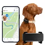 Tractive GPS Tracker Hund | Empfohlen von Martin Rütter | Live-Ortung | Weglaufalarm | Aktivitätstracking | Gesundheitswarnungen | 2024 Edition | Bellverhalten (Schwarz)