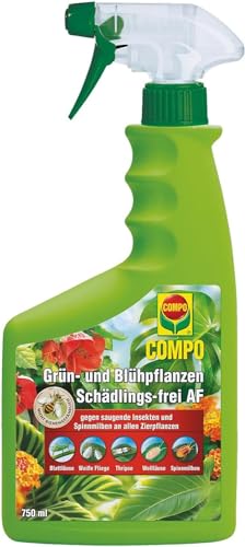 COMPO Grün- und Blühpflanzen Schädlings-frei AF - anwendungsfertiges Spray gegen Spinnmilben, Blattläuse & Co. - für gesunde Zierpflanzen - im Haus & im Garten - 750 ml