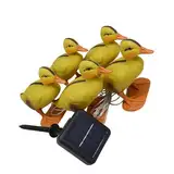 Zerodis LED -Lampen -Solarlampenfleckextrakte