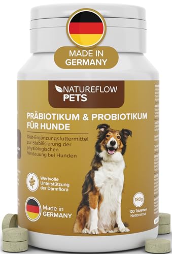 Probiotika Darmsanierung für den Hund - Premium Qualität Made in Germany - Probiotika Hund - 120 Tabletten für verbesserte Verdauung & Immunsystem - Hund Darmflora aufbauen mit Natureflow Pets