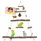 Vogelgaleria® Vogelspielplatz Vogelschaukel aus Naturholz | XXL Wellensittich Schaukel | kleines Papageienspielzeug | Spielzeug Nymphensittich | Wellensittich Spielplatz hängend