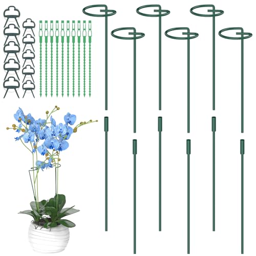 Hanotic 6 Stück Pflanzenstütze, 30cm, 60cm, 90cm Verstellbare Länge Garten Einzelstiel Metall Pflanzenstützpfahl mit 10 Pflanzenbinder und 10 Pflanzenclips für Orchidee, Tomaten, Lilien, Pfingstrosen