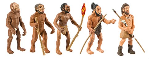 Safari SAF-381 Figuren-Set: Die menschliche Evolution