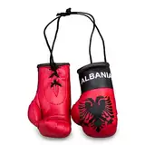 ProSx - Mini-Boxhandschuhe für den Innenspiegel I Vielfalt verschiedener Flaggendesigns (Albanien)