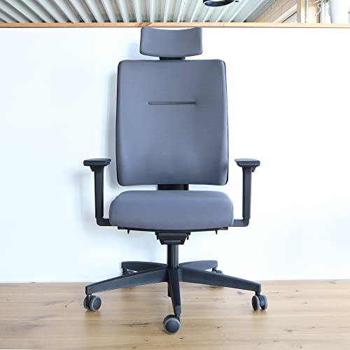 Viasit Toleo Pro NPR, ergonomischer Bürostuhl, ideal auch für Homeoffice, Deutscher Hersteller,150Kg, 3D-Sitztechnik, 4D-Nackenstütze, individuell anpassbar, Grau, Vollpolsterung