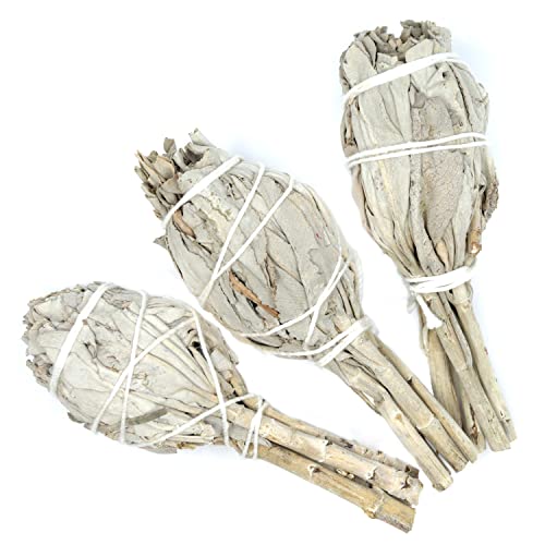 Farbenwald - Weißer Salbei, 3 Fackeln zum Räuchern, rd. 11cm lang, aus Kalifornien, Smudge Sticks, Salvia Apiana, Räucherwerk