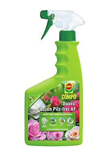 COMPO Duaxo Rosen Pilz-frei AF, Fungizid, Bekämpfung von Pilzkrankheiten an Rosen, Zierpflanzen, Kräutern, Anwendungsfertige Hand-Sprühflasche, 750 ml