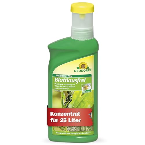 Neudorff Neudosan Neu Blattlausfrei – Konzentrat bekämpft Blattläuse, Weiße Fliegen und Spinnmilben an Obst, Gemüse, Kräutern und Zierpflanzen, 500 ml