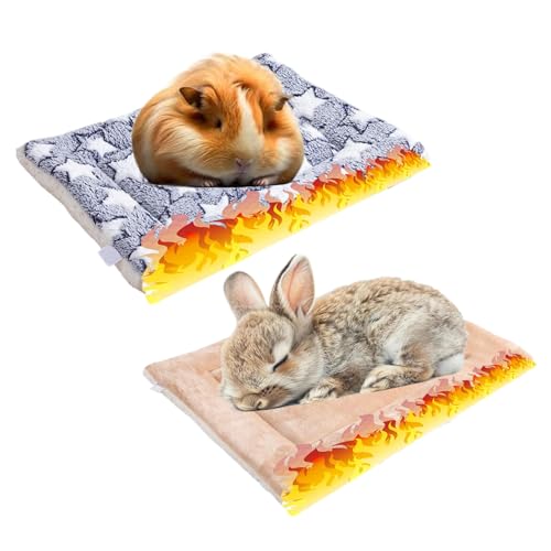 2 Stück Warme Meerschweinchen Decke,30*20cm Hamster Kaninchen Bett Matte,warme flauschige Welpen Fleecedecke,Bettmatte für Meerschweinchen,Geeignet für Hamster, Kaninchen, Chinchillas, Kätzchen usw.