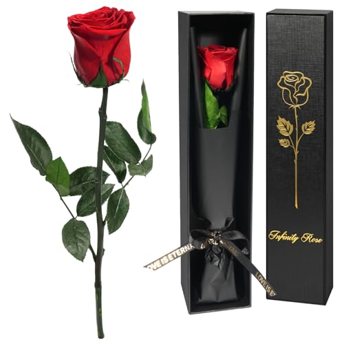 Yamonic Infinity Rose Rot mit Stiel Geschenke für Frauen,Echte Rose Geburtstagsgeschenk für Frauen Ewige Rose in Geschenkbox,Konservierte Blume zum Weihnachten Mama, Deko Geschenk,Geschenke für Mama