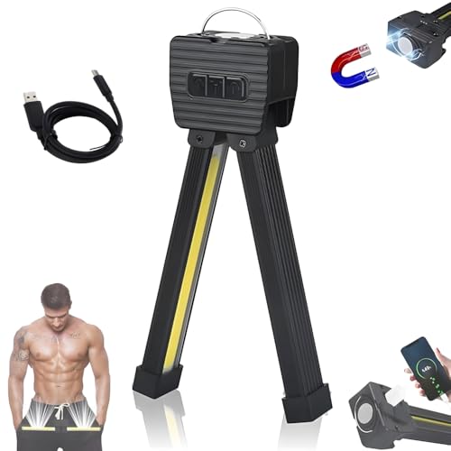 Gym Lamp for Posing,Posing Lampe Magnet,Fitness Posing Lampe,Gym Lichter,Portable Magnetic LED Flashlight with Hanging Hook,7th Gear Dimming,Handheld USB Rechargeable Worklight with 180 Degree Folding