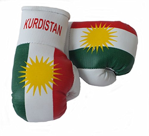 Sportfanshop24 Mini Boxhandschuhe Kurdistan, 1 Paar (2 Stück) Miniboxhandschuhe z. B. für Auto-Innenspiegel