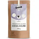 Kieselsäure Pulver 750 g Beutel | Organisches Silizium | Natürliche Kieselerde aus Kieselalgen | Diatomaceous earth | Haut, Haare, Nägel | Laborgeprüfte Qualität aus Österreich