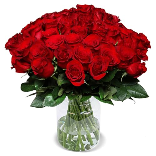 Liebesbeweis, Rosenstrauß, 60 rote Rosen als Ideales Blumengeschenk, 50 cm, Qualität vom Floristen, 7-Tage-Frischegarantie, Schneller Blumenversand