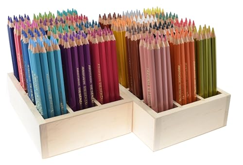 Premium Buntstifte | 288 Stück inkl. 2 Holzboxen | 6,25 mm Minen | 24 Farben | Großpackung Farbstifte | für Kindergarten, Schule Kinderclub, Kinderbetreuung | Holz aus nachhaltiger Forstwirtschaft