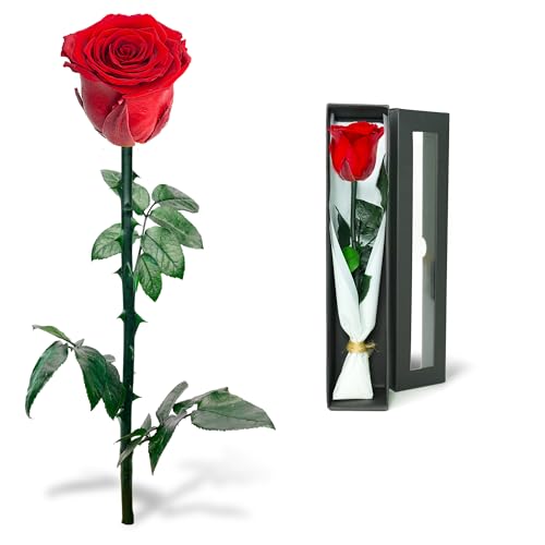 Naunauya Infinity Rose - Die ewige Rose, Unvergängliche Geschenke für Frauen, Konservierte Rose in Rosenbox, Haltbare Blume mit Ewigkeitsgarantie