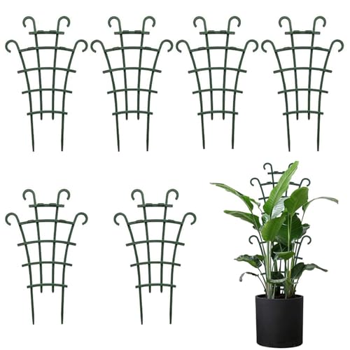Rankgitter für Zimmerpflanzen,6 STK Rankgitter,Garten Pflanzenstütze Rankhilfe,Rankhilfe für Kletterpflanzen,Rankgitter für Pflanzengitter Pflanzkübel,Stützrahmen für wachsende für Rattanpflanzen
