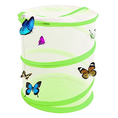 35cm Insekten Schmetterlingslebensraum Käfig Schmetterling Habitat Käfig Insekten Netzkäfig Faltbare Pop-up Schmetterlingshäuser für Pflanzenkäfer Raupen Garten Aufzucht im Freien Beobachtung (Grün)