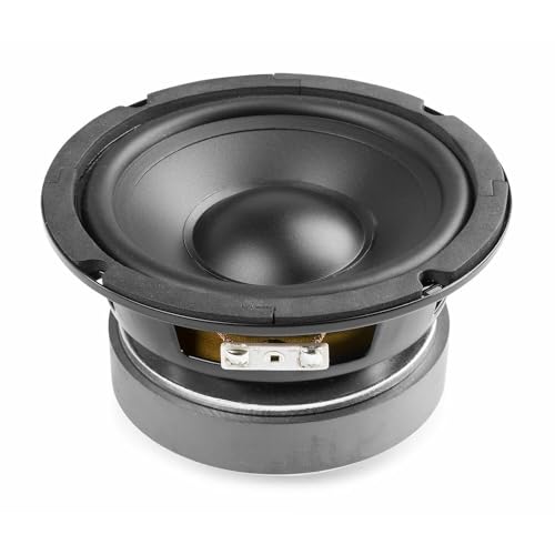 Fenton WPP13 - Einbaulautsprecher HiFi Tieftöner Bass Lautsprecher, 13cm, PP-Membran Chassis Ersatz Basslautsprecher, 75 Watt - 8 Ohm Tieftöner - 5,25" Membranlautsprecher, Ersatzspeaker