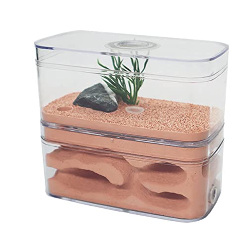 Ameisennest, AntHouse Gips Formicarium Ameisenfarm Display Box Insektenvilla Workshop Ameisen Fütterung Wissenschaft Bildungs