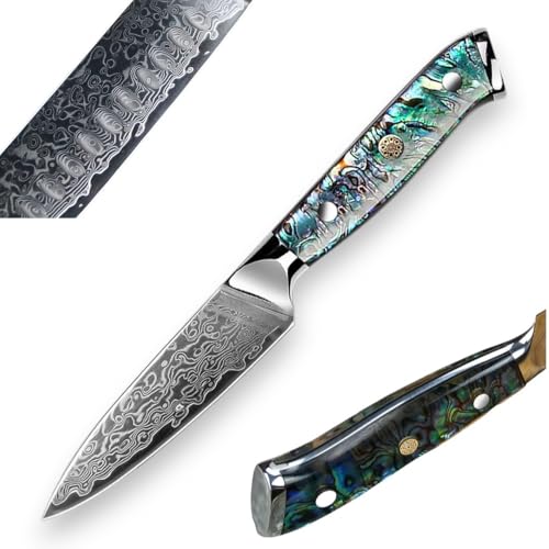 Damastmesser Japanische Küchenmesser Abalone, 67 Lagen Damaststahl VG10-Kern: Santoku Chefmesser Hackmesser Nakiri Schälmesser Universalmesser Ausbeinmesser (Schälmesser: Klingenlänge 9cm)