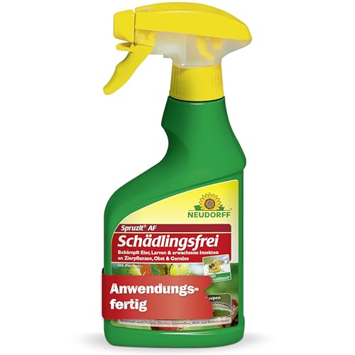 Neudorff Spruzit AF Schädlingsfrei – Bekämpft Schädlinge wie Buchsbaumzünsler, Blattläuse, Thripse an Zierpflanzen, Gemüse, Obst und Kräutern, 250 ml