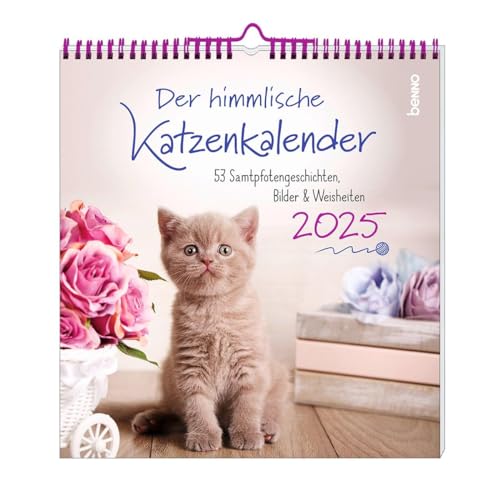 Der himmlische Katzenkalender 2025: 53 Samtpfotengeschichten, Bilder & Weisheiten: 53 Samtpfotengeschichten, Bilder & Weisheiten