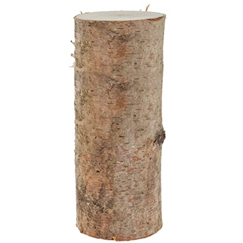 matches21 Birkenstämmchen Baumstamm gerader Schnitt - Holzstamm Naturmaterial DIY Bastelmaterial - je 1 STK. 12 x 30 cm
