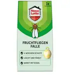 NEXA LOTTE Fruchtfliegenfalle, 1 Falle, Effektive Falle gegen Fruchtfliegen mit Essig-Lockstoff, Sofort einsetzbar, Wirkt bis zu 4 Wochen, Dekorativ und Auslaufsicher, Grün