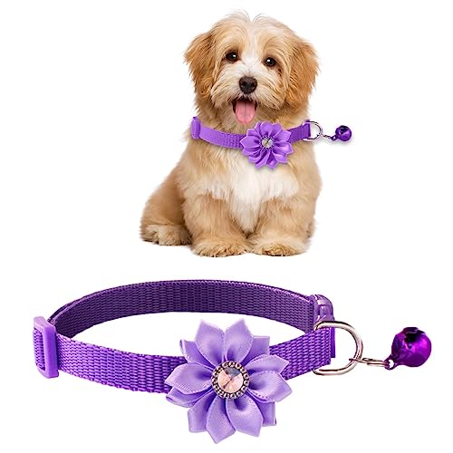 Fliege mit Blume für Welpen, Halsband für Welpen mit Glöckchen, Fliege, Blumenhalsband, Fellpflege, Welpen, Blumen, Fliege für Haustiere