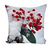 CB Home & Style Outdoor Garten Kissen Wasserabweisend 45 x 45 cm Weihnachten Winter (Weihnachten Beeren)