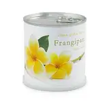 MacFlowers® Frangipani | Anzuchtset als besonderes Geschenk | Öffnen Gießen Freuen | Dankeschön Yoga Tempelbaum Yogabaum