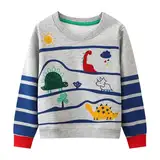 Dinopjs Kinder Jungen Pullover Sweatshirt Süß Langarm Baumwolle Dinosaurier Cartoon Jurassic Planeten Winter & Frühling Weihnachten Warm Oberteile 2-7 Jahre