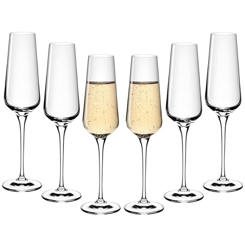 Gerlach 1760 Sektgläser 6 Stück 200 ml Champagnergläser Sektkelche Glas Sektglas Weingläser Spülmaschinenfest Modern