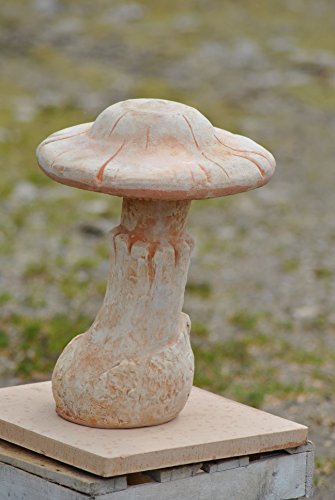 Unbekannt Pilz,Terracotta,37cm,Gartendeko,Mod.1