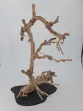 Weinrebe Baum auf Schiefer Deko für Wohnraum und Terrarium Größe ca. 50 cm SAHAWA