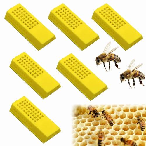 Bee Königin Käfige,Bienenkönigin Aufzucht Käfige,Insekten Box,Kunststoff Imkerei Ausrüstung,Bienenkönigin Käfig,Bienenzucht Werkzeuge,Praktischer Aufzuchtbecher,Versand und Zusetzkäfig,6 Stück