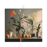 Florid bedruckte Küchen-Trockenmatte, 40,6 x 45,7 cm, zum schnellen Trocknen von Geschirr, stilvolle Küchendekorationsmatte
