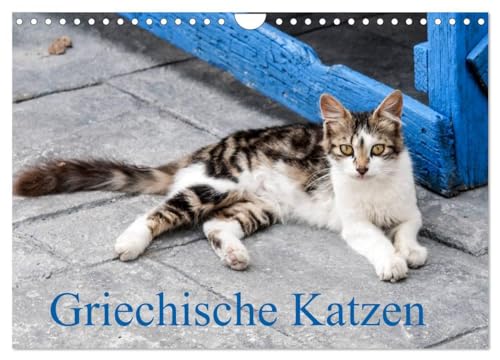 Griechische Katzen (Wandkalender 2025 DIN A4 quer), CALVENDO Monatskalender: Katzen von den Griechischen Inseln (CALVENDO Tiere)