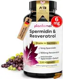 120 Spermidin Kapseln hochdosiert mit Spermidin 6mg + 800mg Resveratrol hochdosiert (je 2 Kapseln) - einzigartige Kombination aus Spermidine Kapseln hochdosiert & Trans Resveratrol Kapseln - vegan