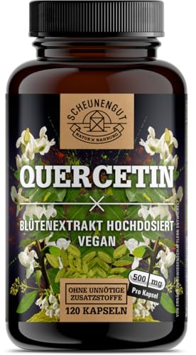 Quercetin -1000mg pro Tagesdosis- WICHTIG: 25:1 Extrakt (25000mg japanischer Schnurbaum je Dosis) I Quercetin Hochdosiert I 120 Stk I Quercetin 500mg je Kapsel -DE- SCHEUNENGUT®