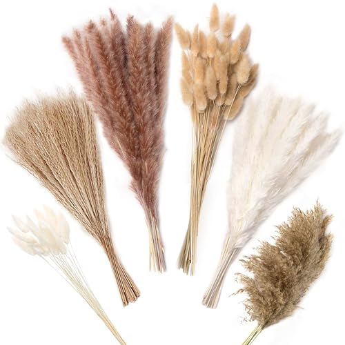 ZJTAPE Pampasgras - 130 Stück Natürliche Trockenblumen Deko, Getrocknete Blumen Dried Flowers, Lagurus Getrocknet Trockenblumenstrauß für Hochzeit Tisch Wohnzimmer Vasen Boho Home Dekor